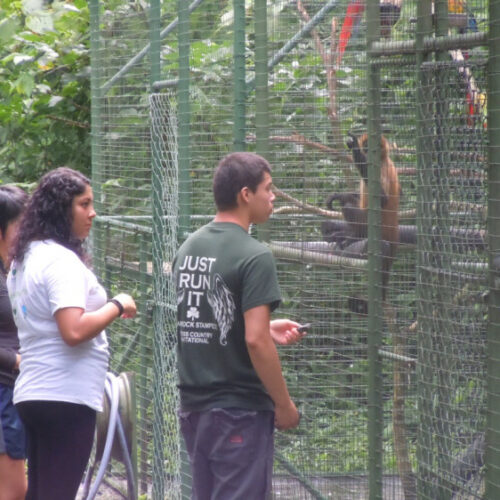 Chicago Teens Share Their Thoughts on Volunteering in Costa Rica