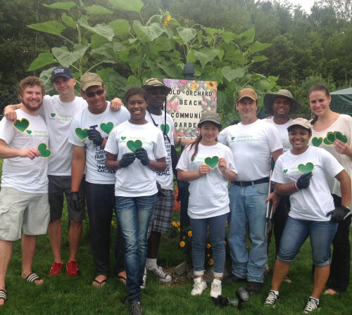 Greenhearts clean up at Ball Park Road