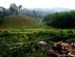 Greenheart Travel Grant Winner Supports Eco-tourism in Vietnam