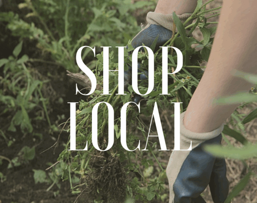 Promoting Local Business