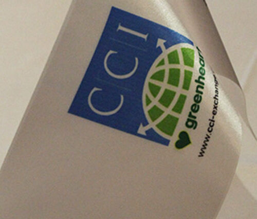 Interviewing in Istanbul: The CCI Greenheart Job Fair in Turkey