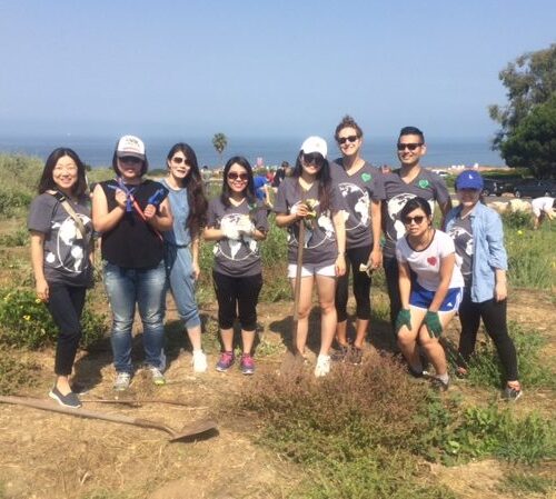 Gone With the Weeds: Greenheart Volunteer Project in Sunny California