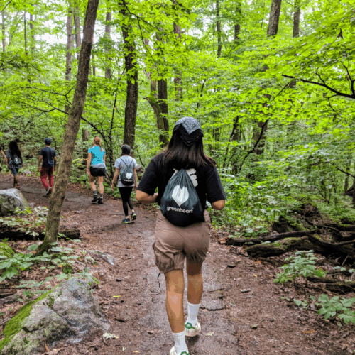 Navigating Your Inner Compass – Camp Greenheart 2018 Finale