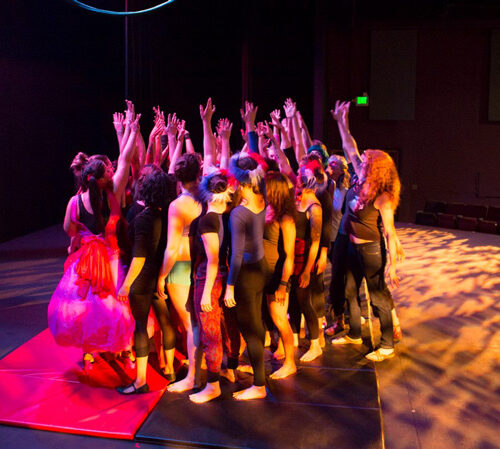 Joining the Circus: Finding an Unsuspected Home Away From Home