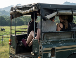 Considering Volunteering Abroad as a Teen? Here’s What You Need to Know